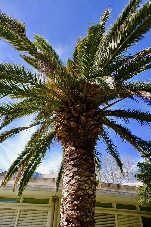 Апартаменты Beach, Wine, Dining, Sports, Summer, Winter Сериньян Экстерьер фото
